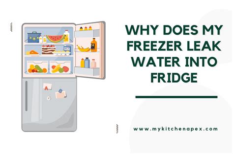 deep freezer leaking water|6 Reasons Your Freezer is Leaking Water